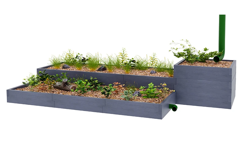 Lietaus sodas nr4-1 Lietaus sodas